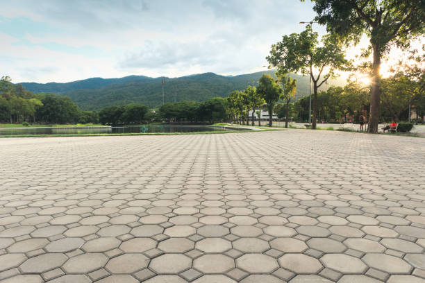 Professional Driveway Pavers in Carney, MD